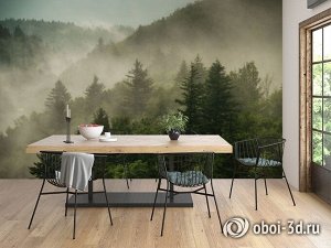 3D Фотообои «Туманный закат в лесу»
