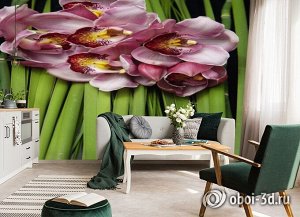 3D Фотообои «Красивые орхидеи»