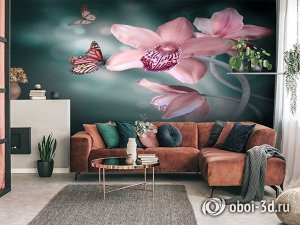 3D Фотообои «Изящная орхидея»