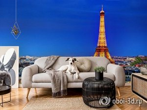 3D Фотообои  «Сказка в Париже»