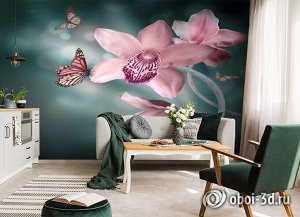 3D Фотообои «Изящная орхидея»