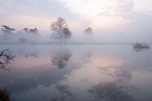 3D Фотообои «Туманная дымка над озером»