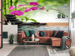 3D Фотообои «Цветы орхидеи и черная галька»