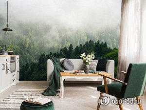 3D Фотообои «Туман над зелеными вершинами»