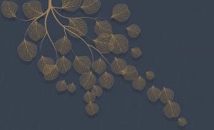 3D Фотообои «Утончённая ветвь в сумерках»