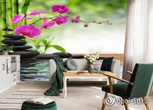 3D Фотообои «Цветы орхидеи и черная галька»
