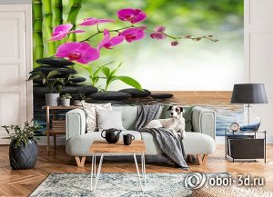 3D Фотообои «Цветы орхидеи и черная галька»