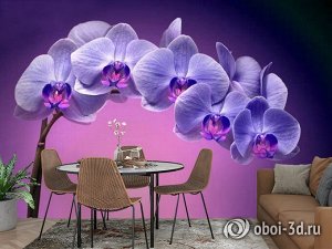 3D Фотообои «Фиолетовая орхидея»
