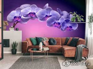3D Фотообои «Фиолетовая орхидея»