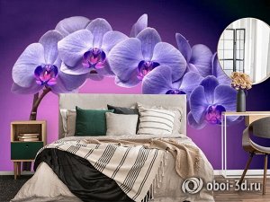 3D Фотообои «Фиолетовая орхидея»