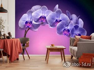 3D Фотообои «Фиолетовая орхидея»