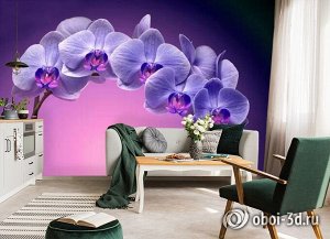 3D Фотообои «Фиолетовая орхидея»