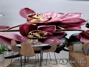 3D Фотообои «Прекрасные орхидеи на камнях»