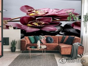 3D Фотообои «Прекрасные орхидеи на камнях»