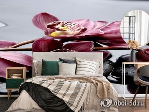 3D Фотообои «Прекрасные орхидеи на камнях»