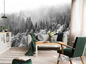 3D Фотообои «Заснеженный туманный лес»