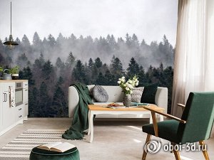 3D Фотообои «Задумчивый лес»