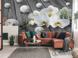 3D Фотообои «Орхидея с жемчужинами на досках»