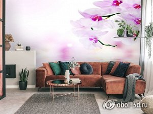 3D Фотообои «Нежные орхидеи над водой»