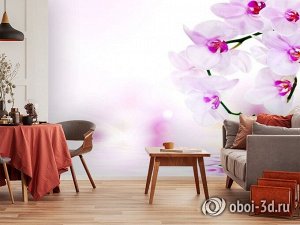 3D Фотообои «Нежные орхидеи над водой»