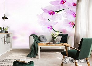 3D Фотообои «Нежные орхидеи над водой»