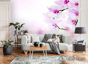 3D Фотообои «Нежные орхидеи над водой»