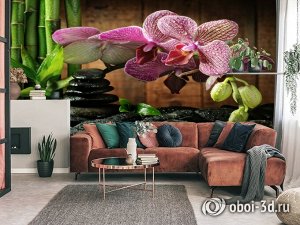 3D Фотообои  «Орхидея на камне»