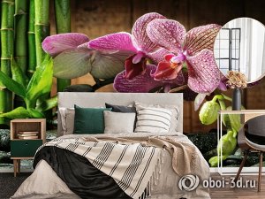 3D Фотообои  «Орхидея на камне»