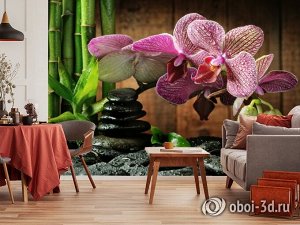 3D Фотообои  «Орхидея на камне»