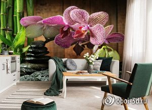 3D Фотообои  «Орхидея на камне»