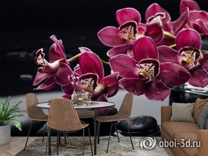 3D Фотообои «Бордовые орхидеи»