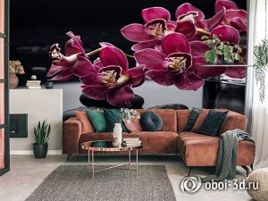 3D Фотообои «Бордовые орхидеи»