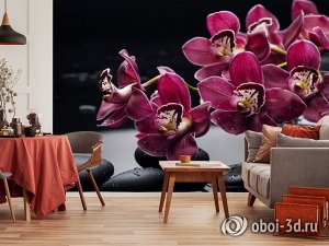 3D Фотообои «Бордовые орхидеи»