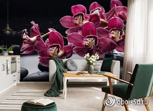 3D Фотообои «Бордовые орхидеи»