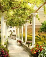 3D Фотообои «Колонны в долине винограда»