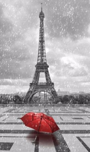 3D Фотообои «Эйфелева башня под дождем»