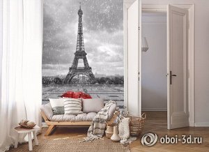 3D Фотообои «Эйфелева башня под дождем»