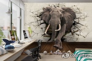 3D Фотообои  «Слон сквозь стену»