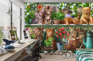 3D Фотообои «Озорные котята»
