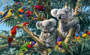 3D Фотообои «Тропический коалы»