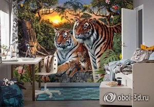 Design Studio 3D 3D Фотообои «Тигриная семья. Закат»