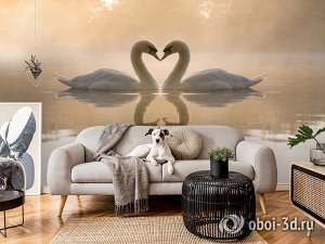 Design Studio 3D 3D Фотообои «Влюбленные лебеди»