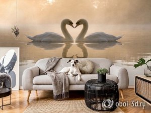 3D Фотообои «Влюбленные лебеди»