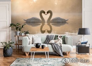 Design Studio 3D 3D Фотообои «Влюбленные лебеди»