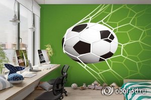 3D Фотообои «Мяч в сетке»