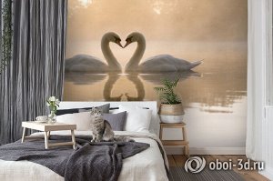 Design Studio 3D 3D Фотообои «Влюбленные лебеди»