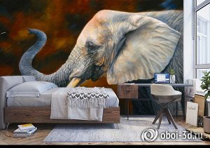 3D Фотообои «Слон. Рисунок»