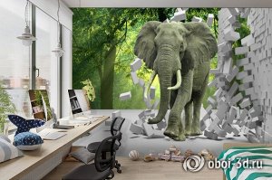 3D Фотообои «Слон на фоне леса»