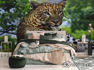 3D Фотообои «Отдыхающий леопард»