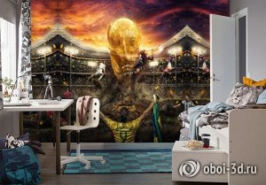 3D Фотообои «Битва за футбольный кубок»